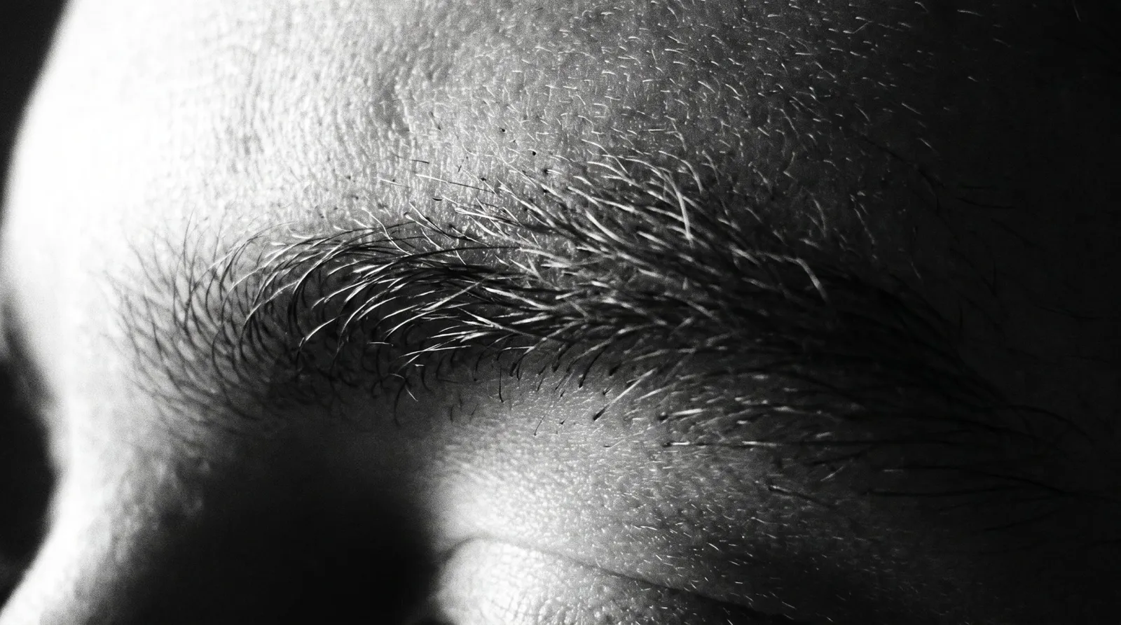Black and white macro photograph of eyebrow hairs and follicles in raking light